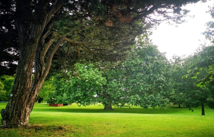 Schlosspark